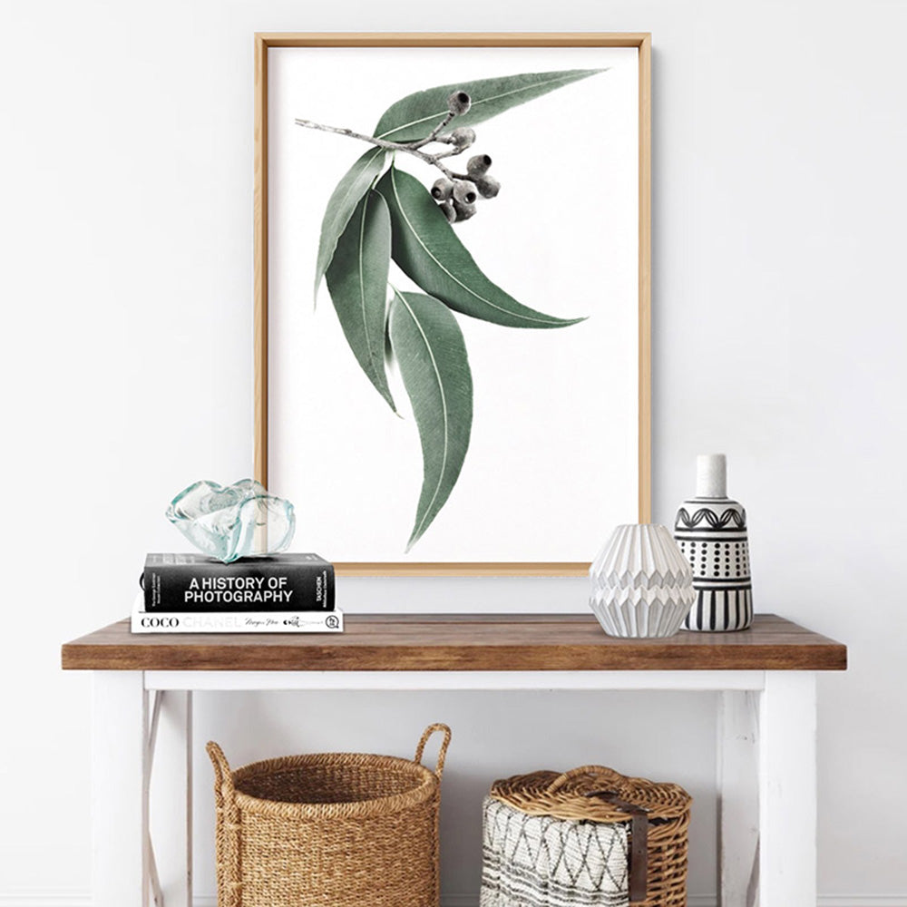 Eucalyptus Leaves & Gumnuts I - Art Print, Poster, Stretched Canvas or Framed Wall Art, shown framed in a room