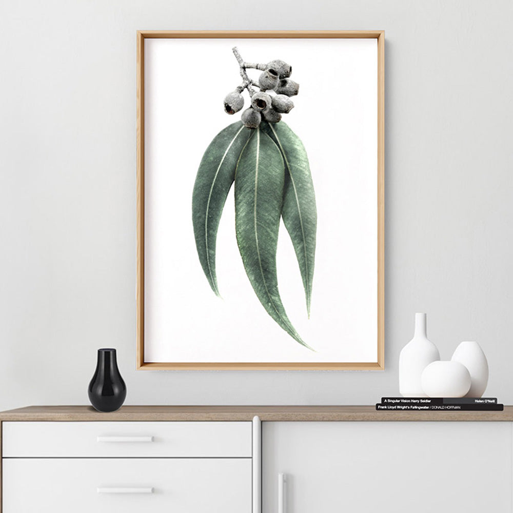Eucalyptus Leaves & Gumnuts II - Art Print, Poster, Stretched Canvas or Framed Wall Art, shown framed in a room