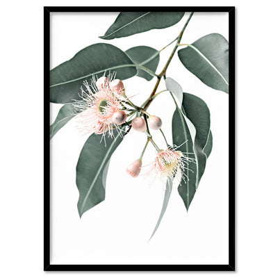 Flowering Eucalyptus in Blush - Art Print, Poster, Stretched Canvas, or Framed Wall Art Print, shown in a black frame