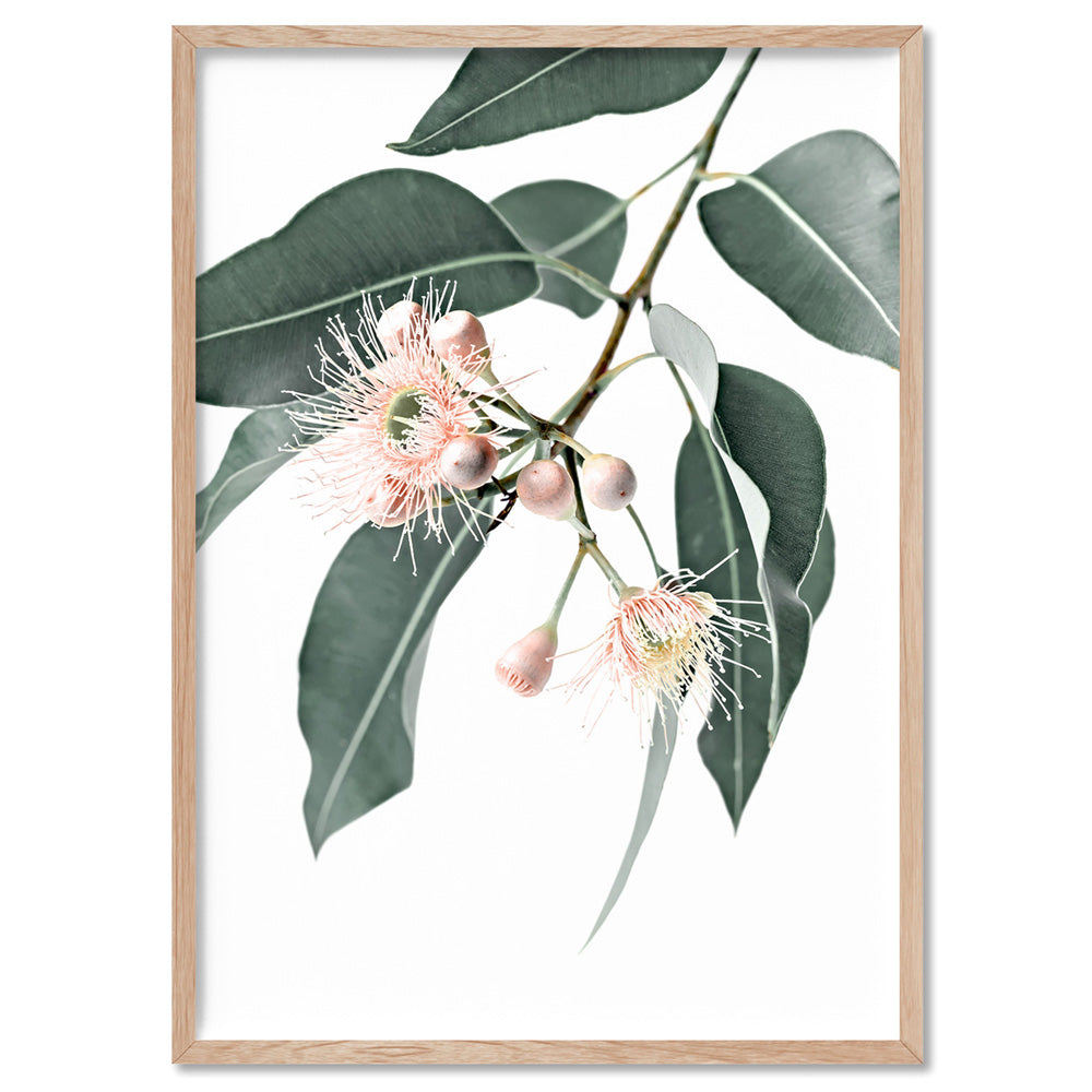 Flowering Eucalyptus in Blush - Art Print, Poster, Stretched Canvas, or Framed Wall Art Print, shown in a natural timber frame