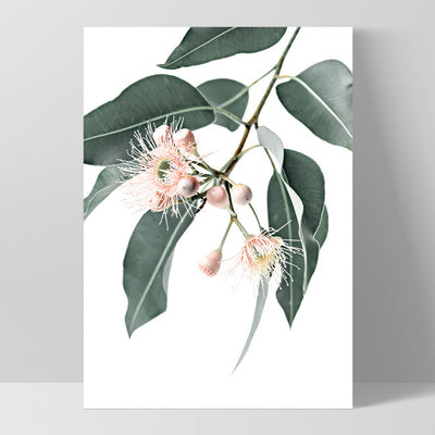 Flowering Eucalyptus in Blush - Art Print, Poster, Stretched Canvas, or Framed Wall Art Print, shown as a stretched canvas or poster without a frame