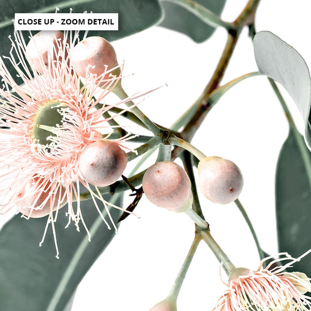 Flowering Eucalyptus in Blush - Art Print, Poster, Stretched Canvas or Framed Wall Art, Close up View of Print Resolution