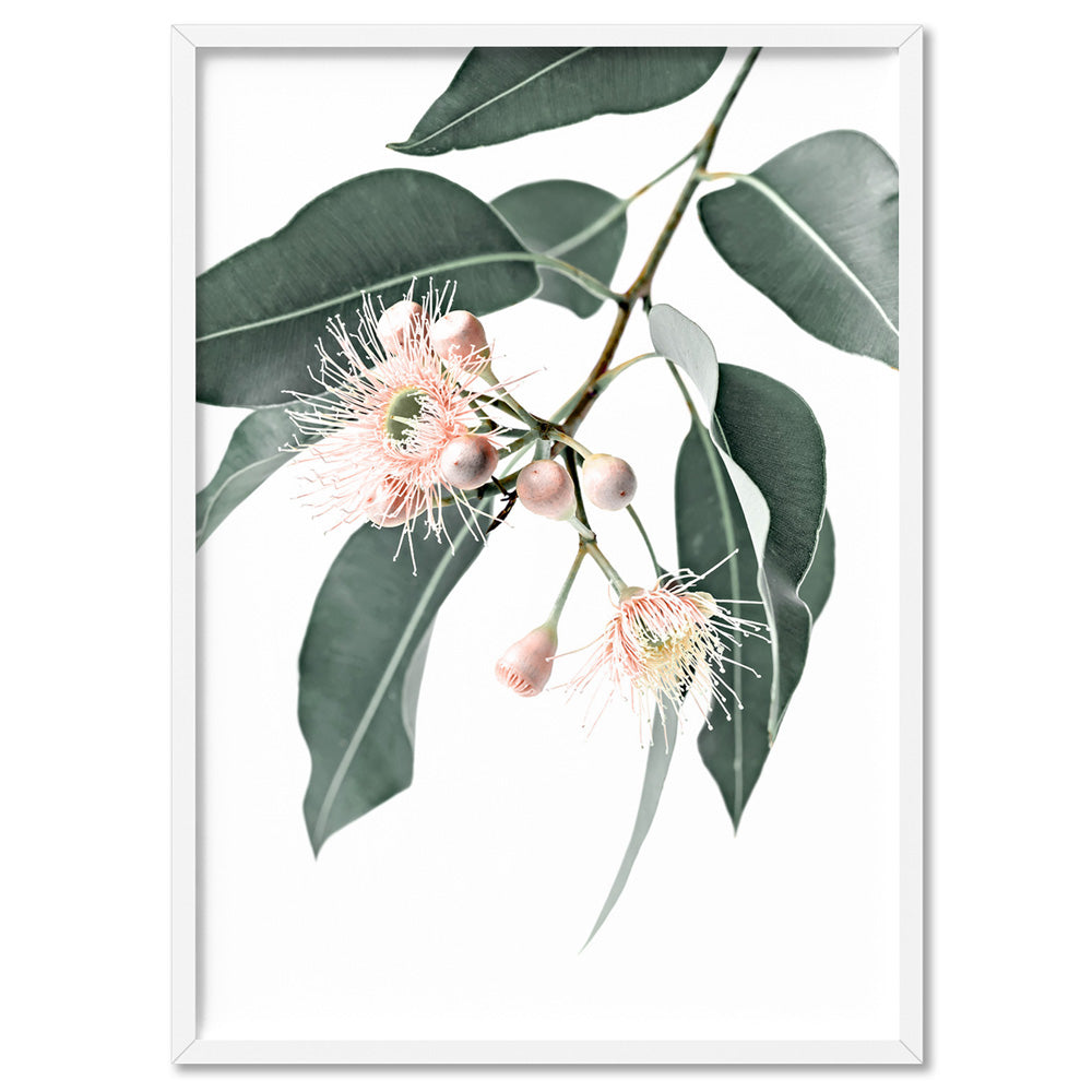 Flowering Eucalyptus in Blush - Art Print, Poster, Stretched Canvas, or Framed Wall Art Print, shown in a white frame