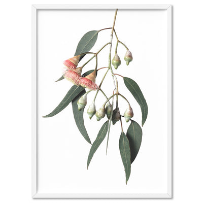 Flowering Eucalyptus in Soft Red - Art Print, Poster, Stretched Canvas, or Framed Wall Art Print, shown in a white frame