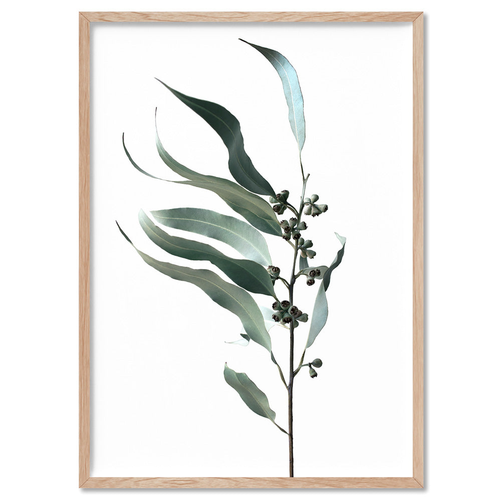 Dried Eucalyptus Leaves I - Art Print, Poster, Stretched Canvas, or Framed Wall Art Print, shown in a natural timber frame