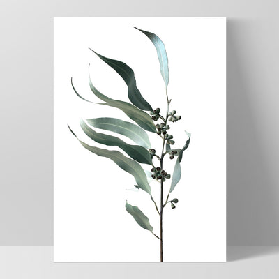 Dried Eucalyptus Leaves I - Art Print, Poster, Stretched Canvas, or Framed Wall Art Print, shown as a stretched canvas or poster without a frame