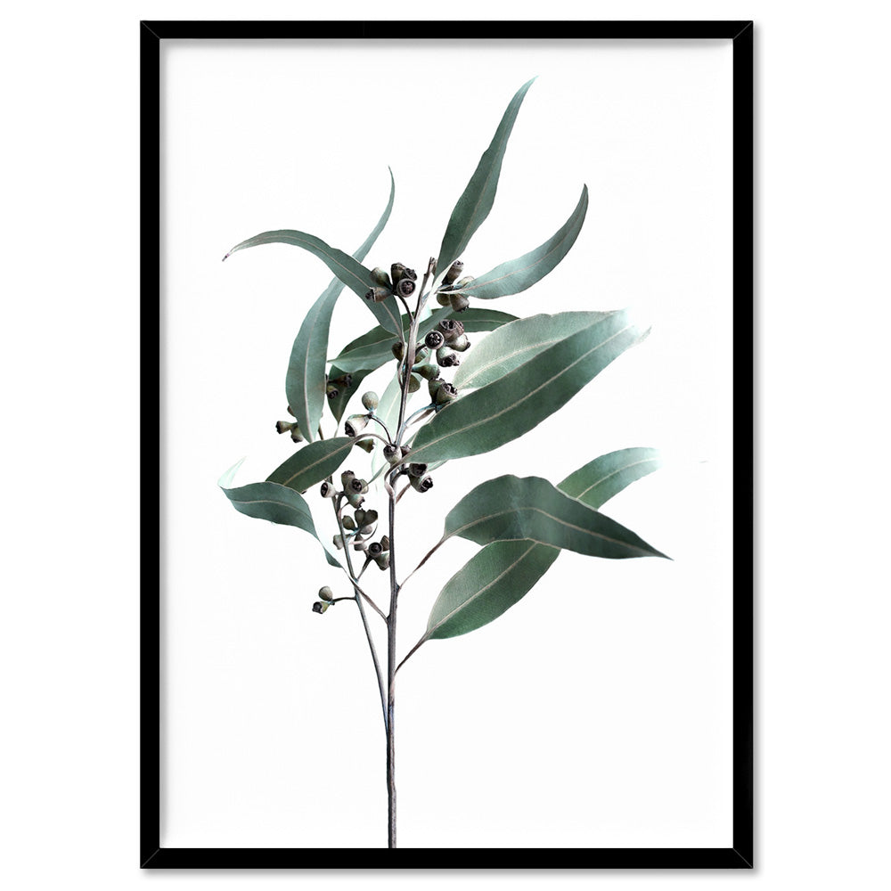Dried Eucalyptus Leaves II - Art Print, Poster, Stretched Canvas, or Framed Wall Art Print, shown in a black frame