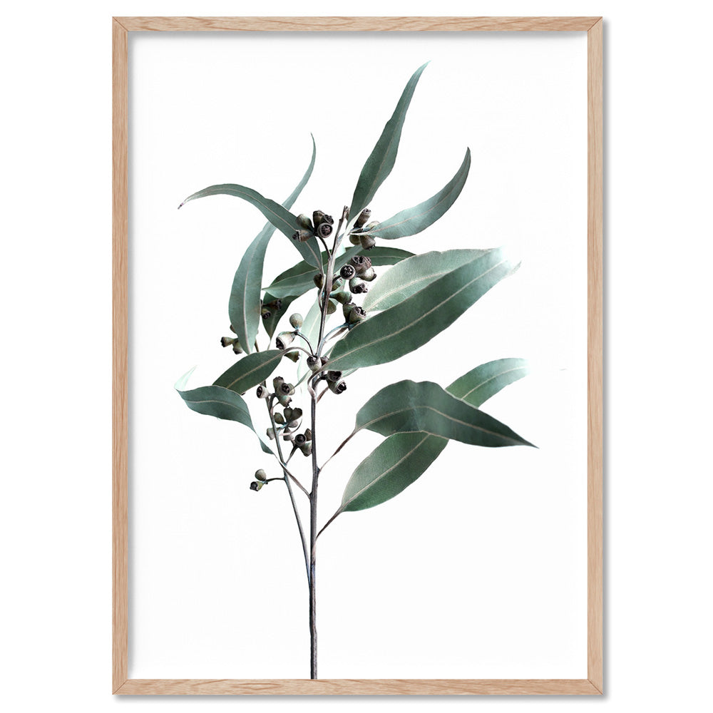 Dried Eucalyptus Leaves II - Art Print, Poster, Stretched Canvas, or Framed Wall Art Print, shown in a natural timber frame