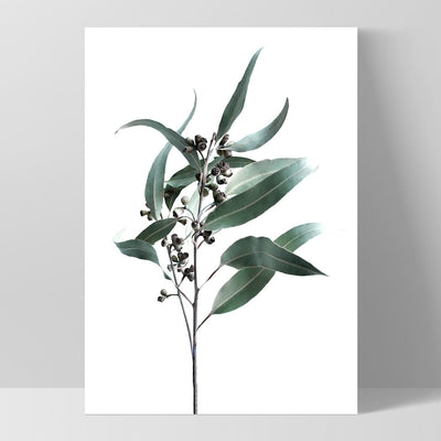 Dried Eucalyptus Leaves II - Art Print, Poster, Stretched Canvas, or Framed Wall Art Print, shown as a stretched canvas or poster without a frame