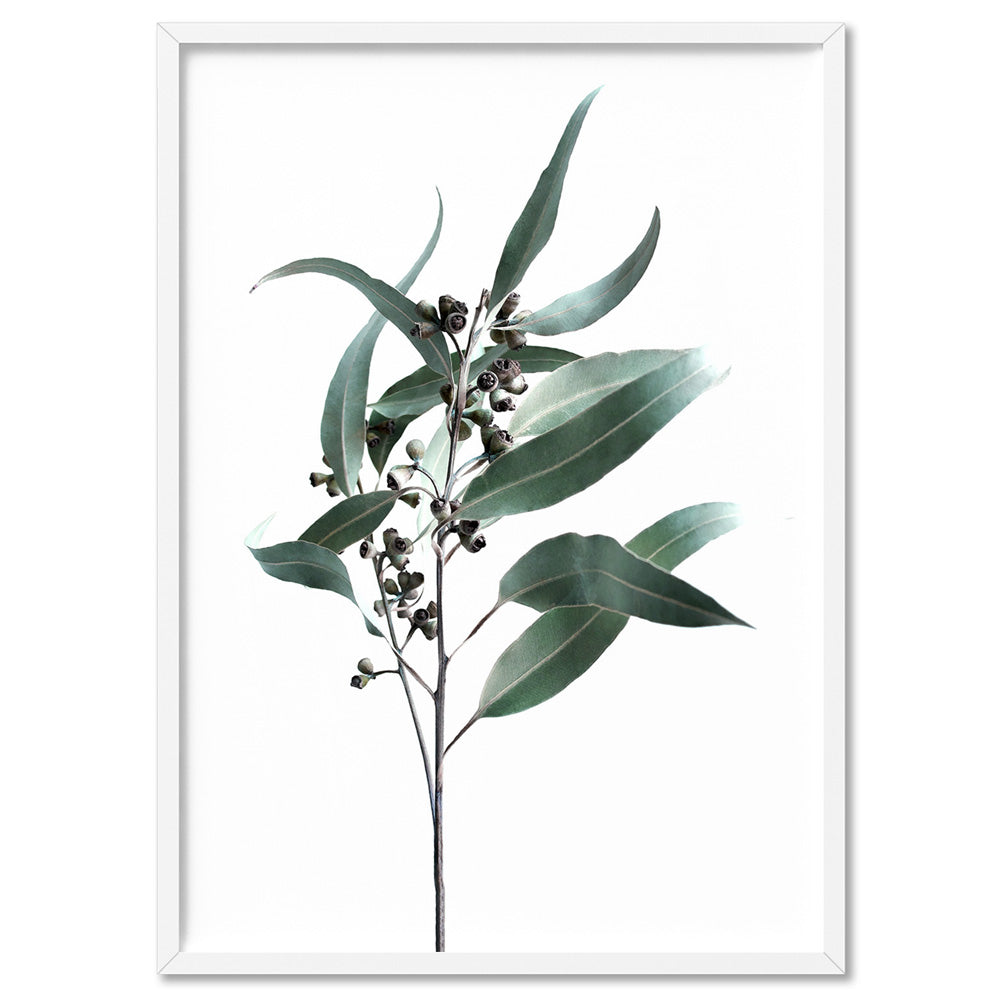 Dried Eucalyptus Leaves II - Art Print, Poster, Stretched Canvas, or Framed Wall Art Print, shown in a white frame