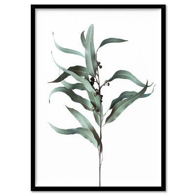 Dried Eucalyptus Leaves III - Art Print, Poster, Stretched Canvas, or Framed Wall Art Print, shown in a black frame