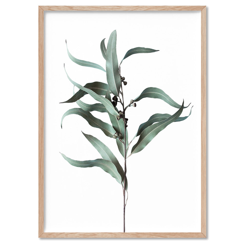 Dried Eucalyptus Leaves III - Art Print, Poster, Stretched Canvas, or Framed Wall Art Print, shown in a natural timber frame