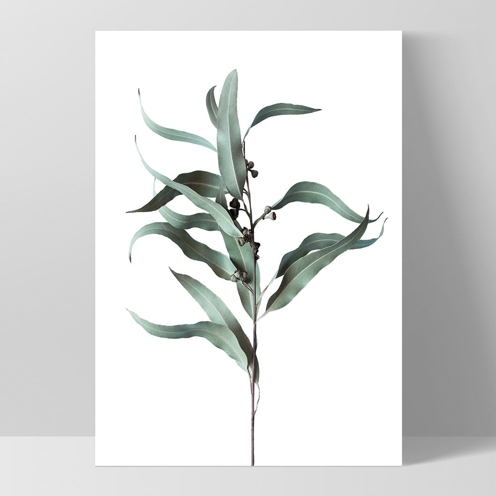 Dried Eucalyptus Leaves III - Art Print, Poster, Stretched Canvas, or Framed Wall Art Print, shown as a stretched canvas or poster without a frame