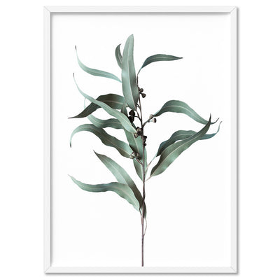Dried Eucalyptus Leaves III - Art Print, Poster, Stretched Canvas, or Framed Wall Art Print, shown in a white frame