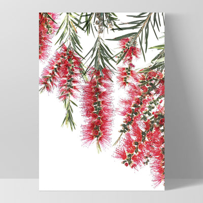 Bottle Brush Flowers I - Art Print, Poster, Stretched Canvas, or Framed Wall Art Print, shown as a stretched canvas or poster without a frame