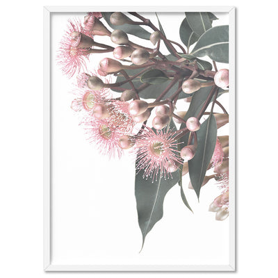 Flowering Eucalyptus Bunch I - Art Print, Poster, Stretched Canvas, or Framed Wall Art Print, shown in a white frame