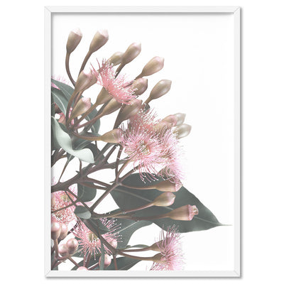 Flowering Eucalyptus Bunch II - Art Print, Poster, Stretched Canvas, or Framed Wall Art Print, shown in a white frame