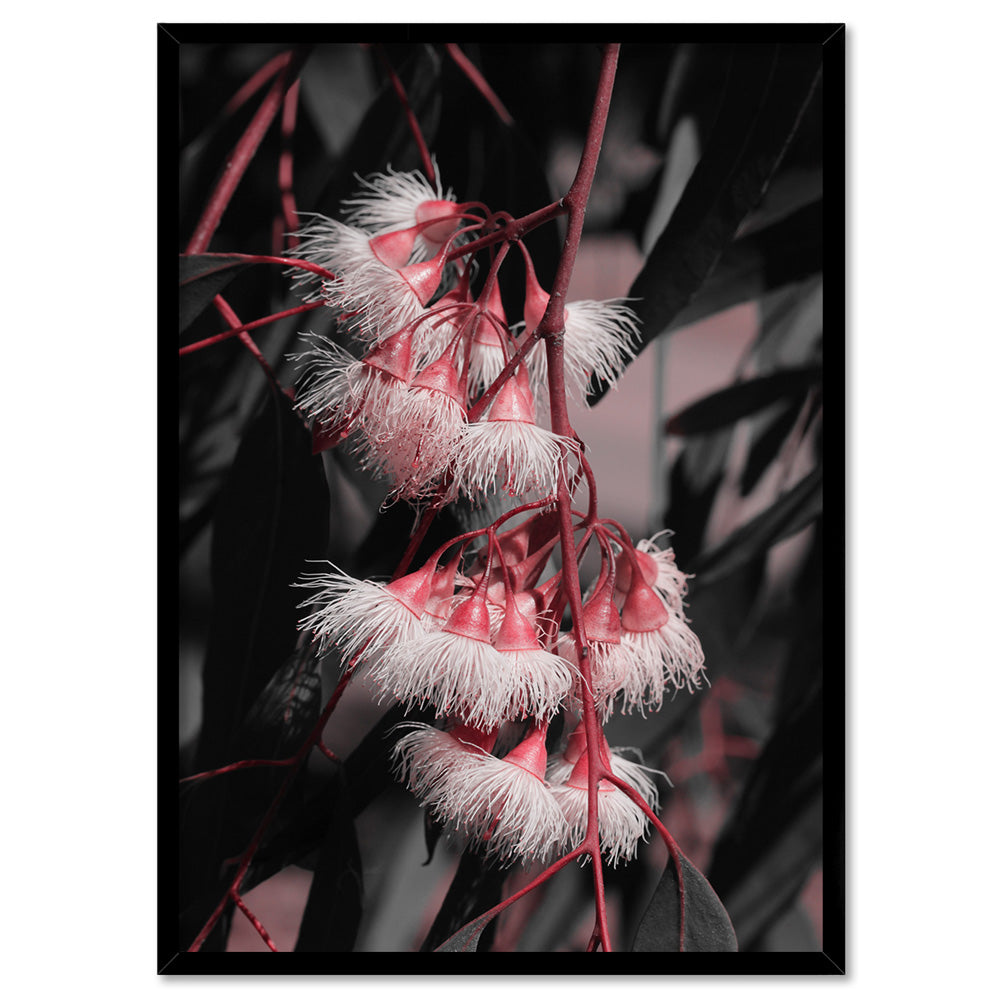 Blushing Eucalyptus Flowers on Dark - Art Print, Poster, Stretched Canvas, or Framed Wall Art Print, shown in a black frame