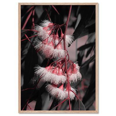 Blushing Eucalyptus Flowers on Dark - Art Print, Poster, Stretched Canvas, or Framed Wall Art Print, shown in a natural timber frame