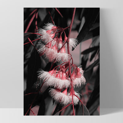 Blushing Eucalyptus Flowers on Dark - Art Print, Poster, Stretched Canvas, or Framed Wall Art Print, shown as a stretched canvas or poster without a frame