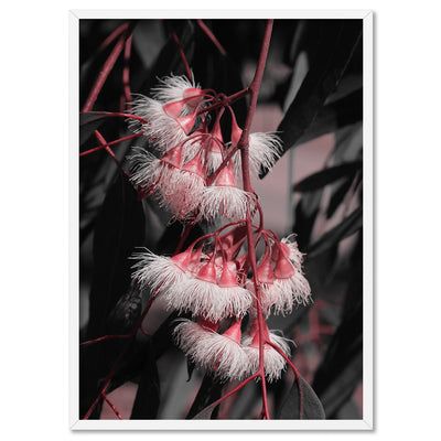 Blushing Eucalyptus Flowers on Dark - Art Print, Poster, Stretched Canvas, or Framed Wall Art Print, shown in a white frame