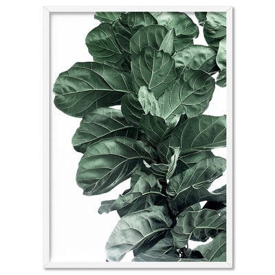 Fiddle Leaf Fig Watercolour I - Art Print, Poster, Stretched Canvas, or Framed Wall Art Print, shown in a white frame