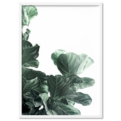 Fiddle Leaf Fig Watercolour III - Art Print, Poster, Stretched Canvas, or Framed Wall Art Print, shown in a white frame