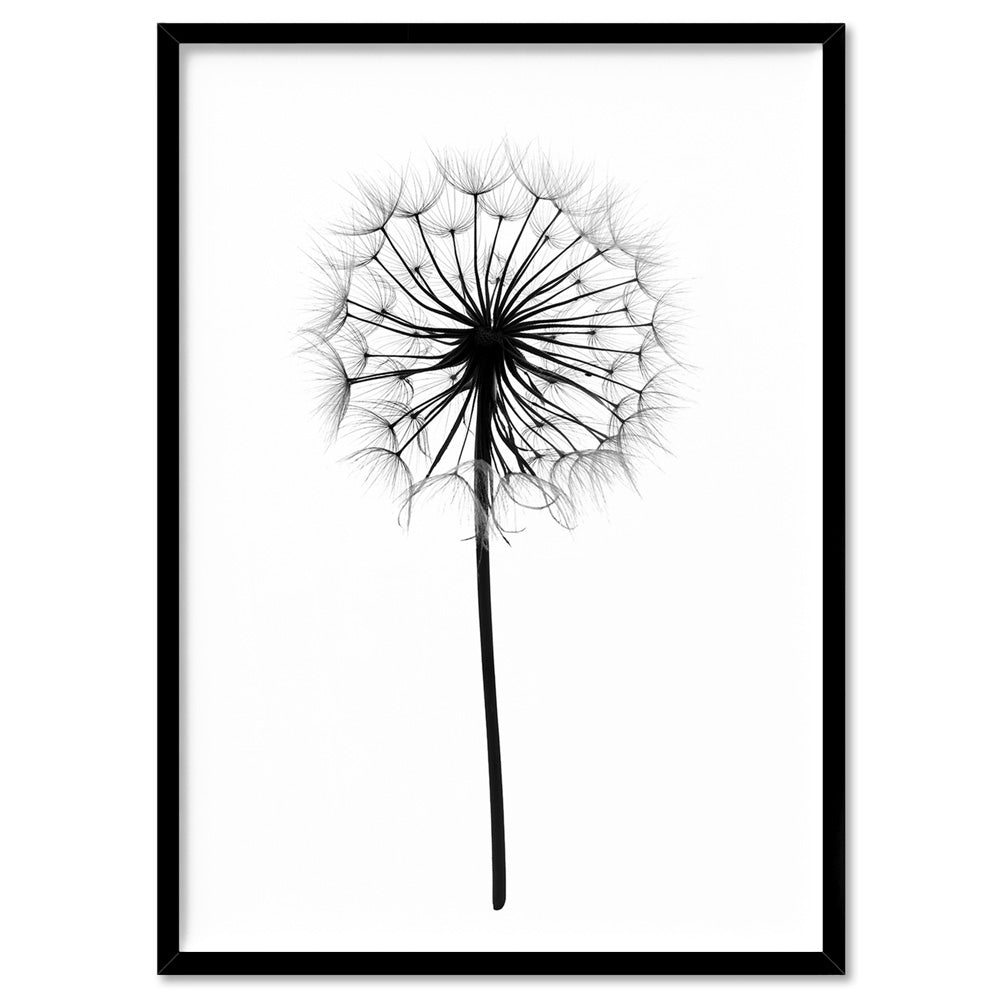 Dandelion Monochrome - Art Print, Poster, Stretched Canvas, or Framed Wall Art Print, shown in a black frame