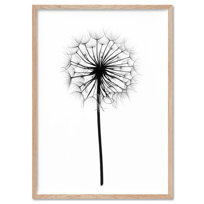 Dandelion Monochrome - Art Print, Poster, Stretched Canvas, or Framed Wall Art Print, shown in a natural timber frame