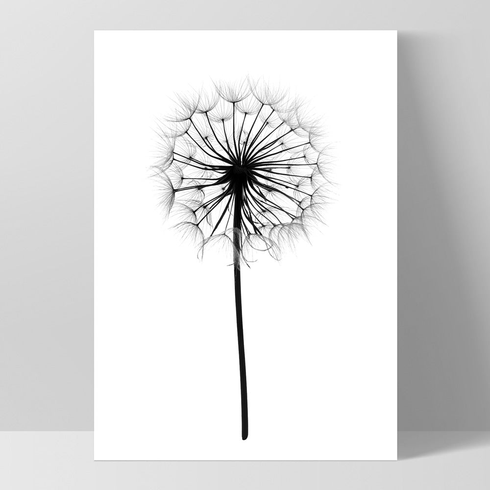Dandelion Monochrome - Art Print, Poster, Stretched Canvas, or Framed Wall Art Print, shown as a stretched canvas or poster without a frame