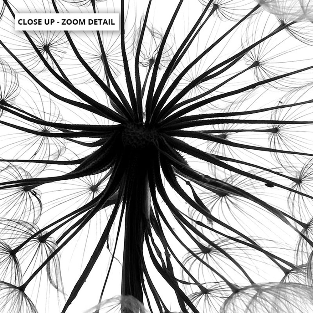Dandelion Monochrome - Art Print, Poster, Stretched Canvas or Framed Wall Art, Close up View of Print Resolution