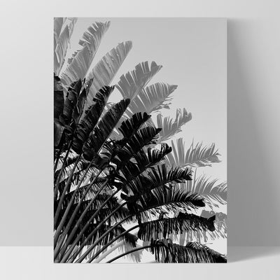 Banana Leaves Palm II | Black & White - Art Print, Poster, Stretched Canvas, or Framed Wall Art Print, shown as a stretched canvas or poster without a frame