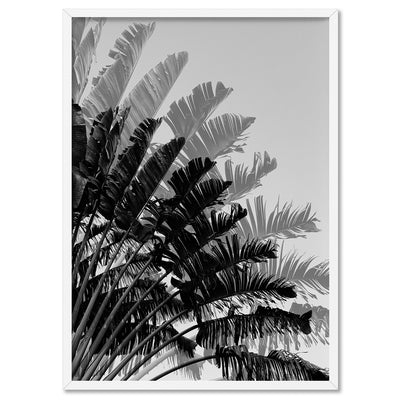 Banana Leaves Palm II | Black & White - Art Print, Poster, Stretched Canvas, or Framed Wall Art Print, shown in a white frame