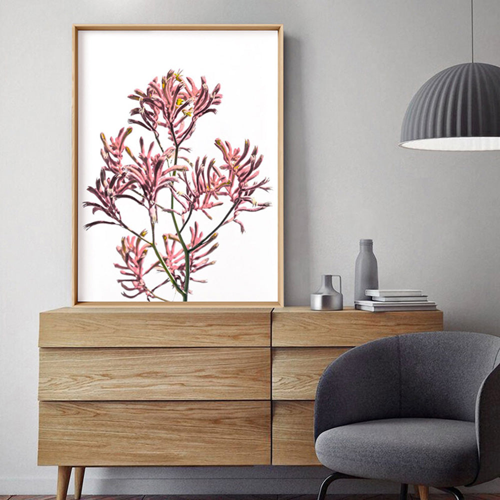 Kangaroo Paw in Pink - Art Print, Poster, Stretched Canvas or Framed Wall Art, shown framed in a room