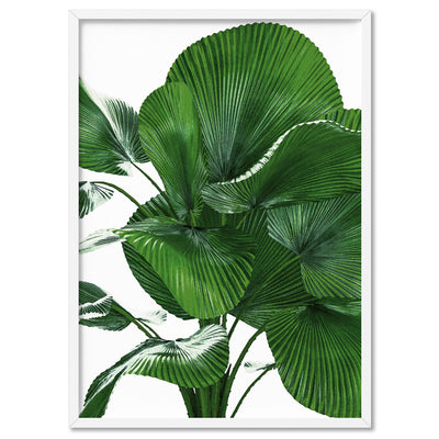 Fan Palm Leaves - Art Print, Poster, Stretched Canvas, or Framed Wall Art Print, shown in a white frame