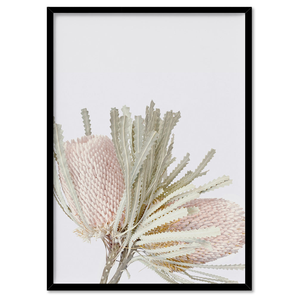 Pastel Banksias Blush II - Art Print, Poster, Stretched Canvas, or Framed Wall Art Print, shown in a black frame