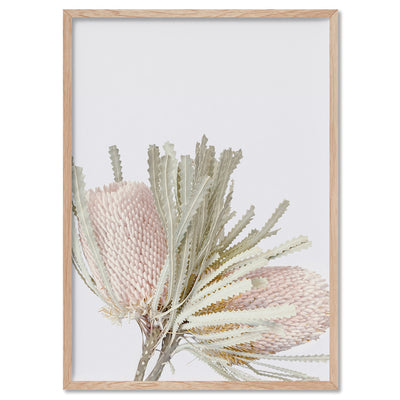 Pastel Banksias Blush II - Art Print, Poster, Stretched Canvas, or Framed Wall Art Print, shown in a natural timber frame