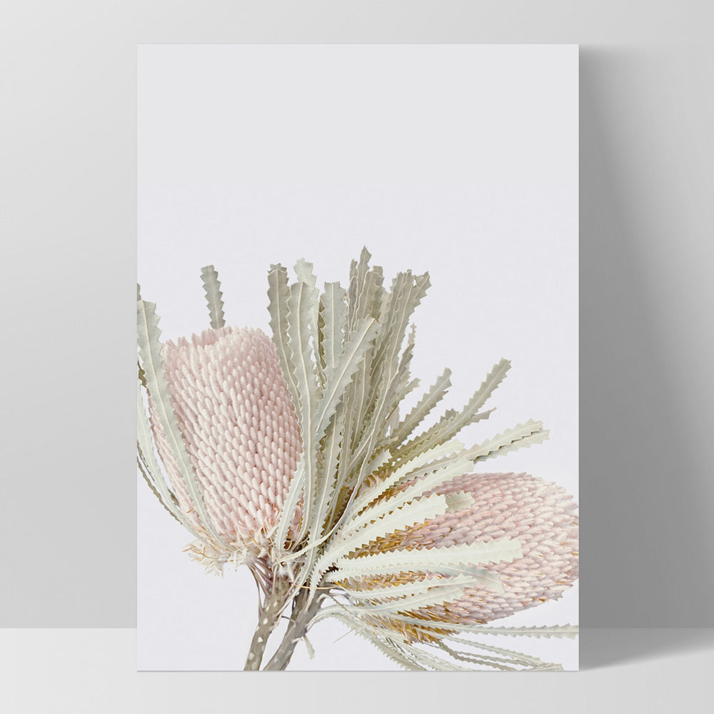 Pastel Banksias Blush II - Art Print, Poster, Stretched Canvas, or Framed Wall Art Print, shown as a stretched canvas or poster without a frame