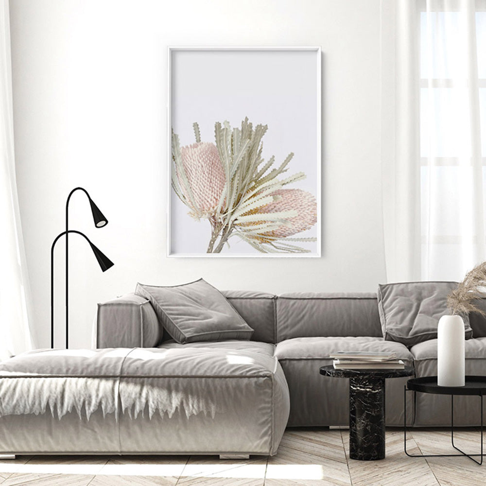 Pastel Banksias Blush II - Art Print, Poster, Stretched Canvas or Framed Wall Art, shown framed in a room