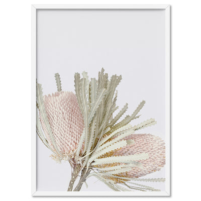 Pastel Banksias Blush II - Art Print, Poster, Stretched Canvas, or Framed Wall Art Print, shown in a white frame