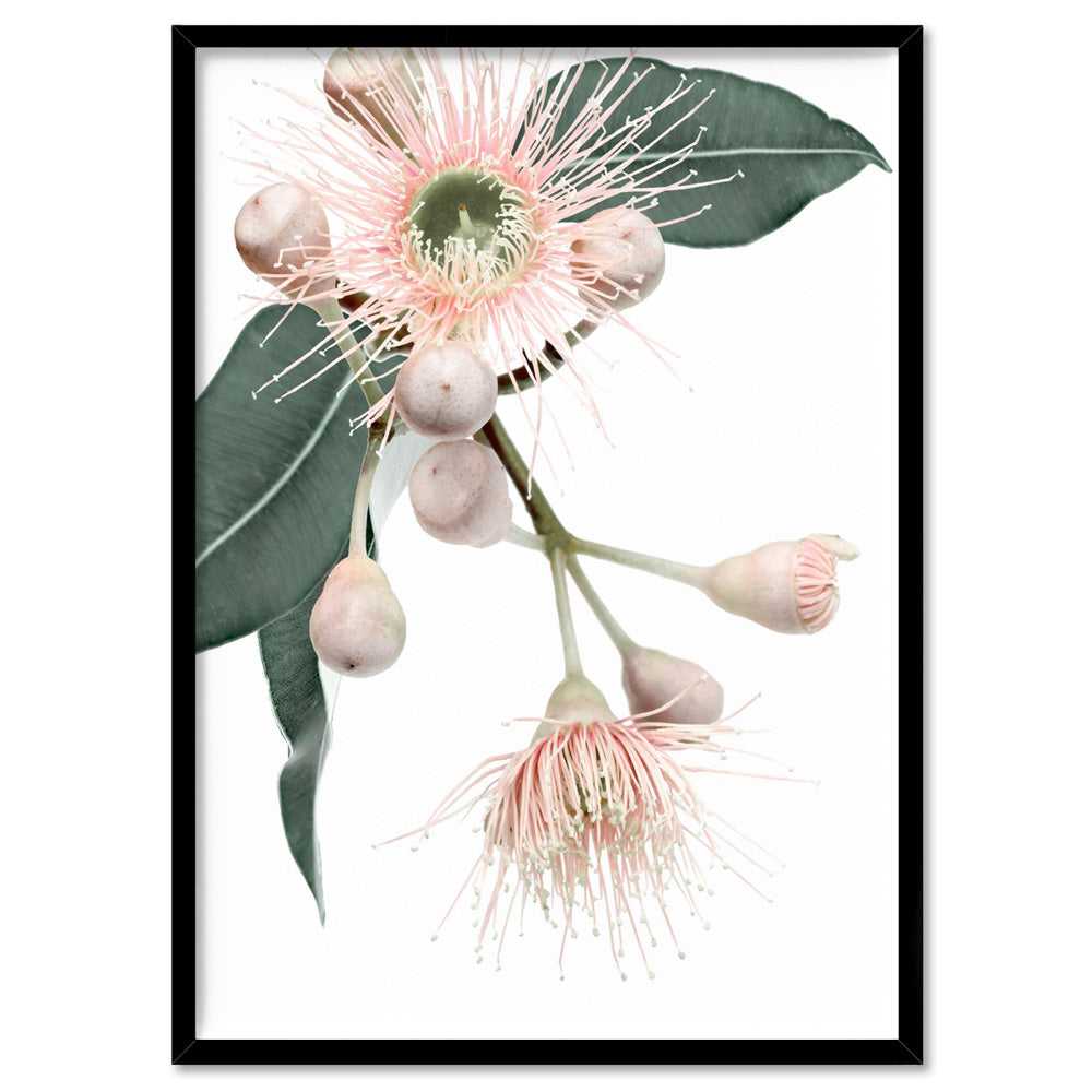 Flowering Eucalyptus in Blush II - Art Print, Poster, Stretched Canvas, or Framed Wall Art Print, shown in a black frame