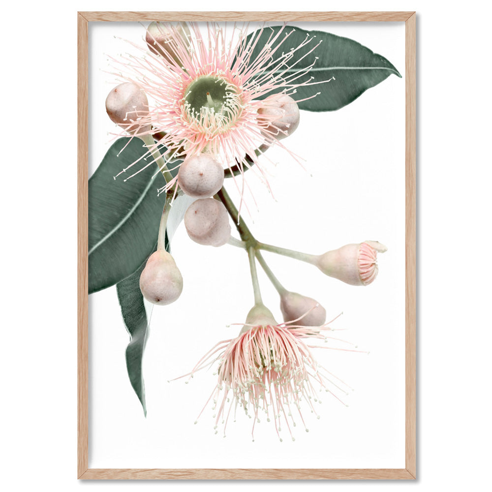 Flowering Eucalyptus in Blush II - Art Print, Poster, Stretched Canvas, or Framed Wall Art Print, shown in a natural timber frame