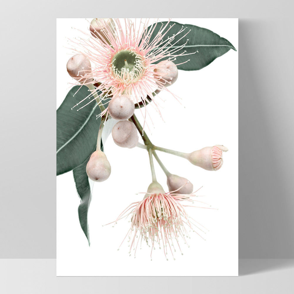 Flowering Eucalyptus in Blush II - Art Print, Poster, Stretched Canvas, or Framed Wall Art Print, shown as a stretched canvas or poster without a frame