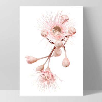 Blushing Gumtree Blossom - Art Print, Poster, Stretched Canvas, or Framed Wall Art Print, shown as a stretched canvas or poster without a frame