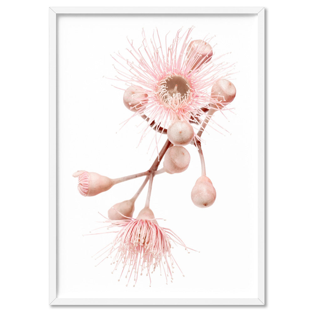 Blushing Gumtree Blossom - Art Print, Poster, Stretched Canvas, or Framed Wall Art Print, shown in a white frame