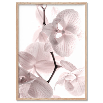 Pastel Orchid Blooms I - Art Print, Poster, Stretched Canvas, or Framed Wall Art Print, shown in a natural timber frame