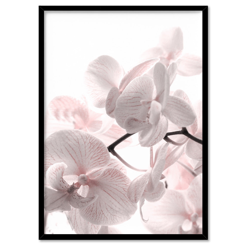 Pastel Orchid Blooms II - Art Print, Poster, Stretched Canvas, or Framed Wall Art Print, shown in a black frame