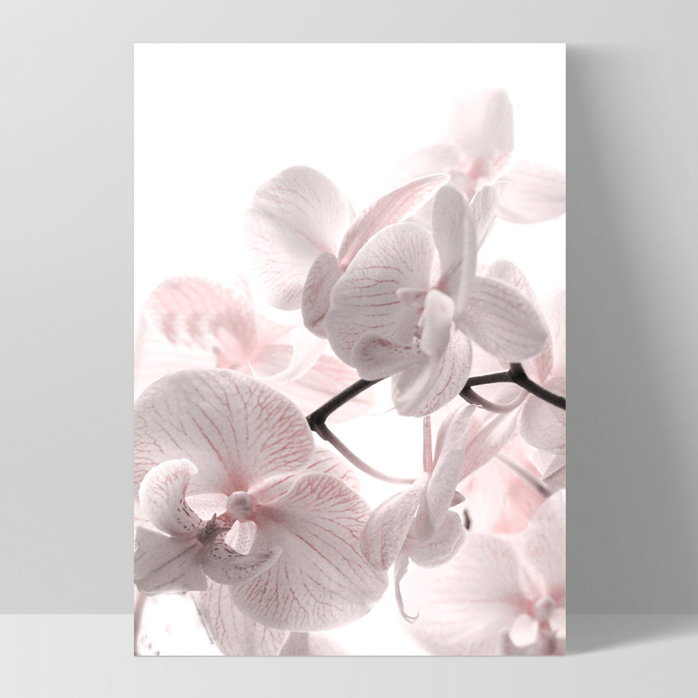 Pastel Orchid Blooms II - Art Print, Poster, Stretched Canvas, or Framed Wall Art Print, shown as a stretched canvas or poster without a frame
