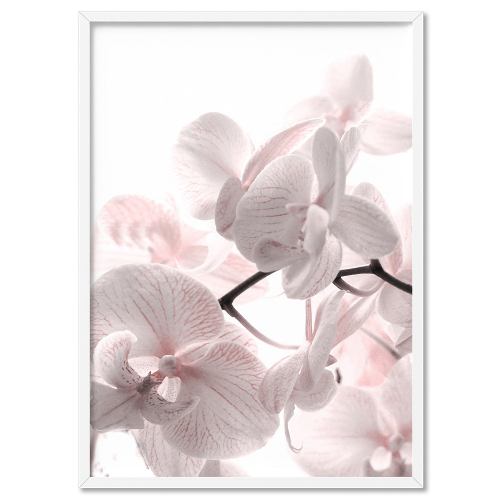 Pastel Orchid Blooms II - Art Print, Poster, Stretched Canvas, or Framed Wall Art Print, shown in a white frame