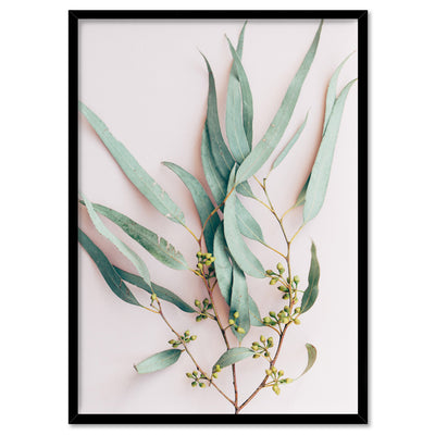 Australian Gumtree Leaves on Pink - Art Print, Poster, Stretched Canvas, or Framed Wall Art Print, shown in a black frame